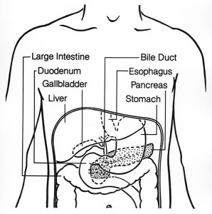 Extrahepatic-bile-duct-cancer