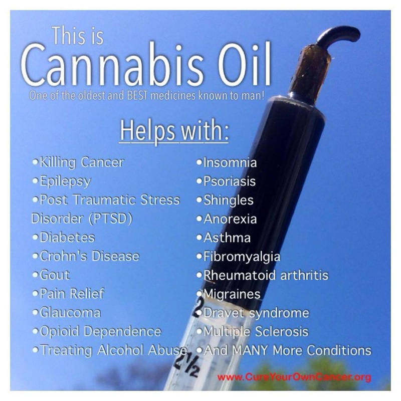 cbd-oil