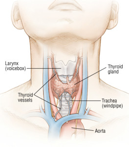 Hyperthyroidism