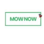 Profile picture of MOW NOW PTY LTD