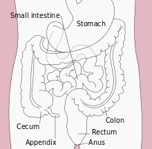 colon-cancer-community